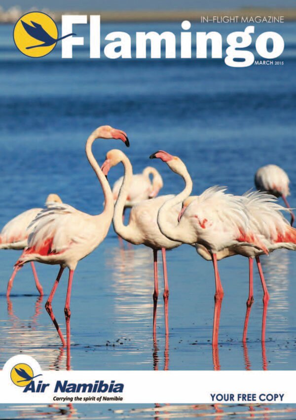 Flamingo Air Namibia - In-Flight